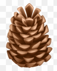 Pinecone Png Download Free Clip Art - Transparent Pinecone Clipart Emoji,Pinecone Emoji