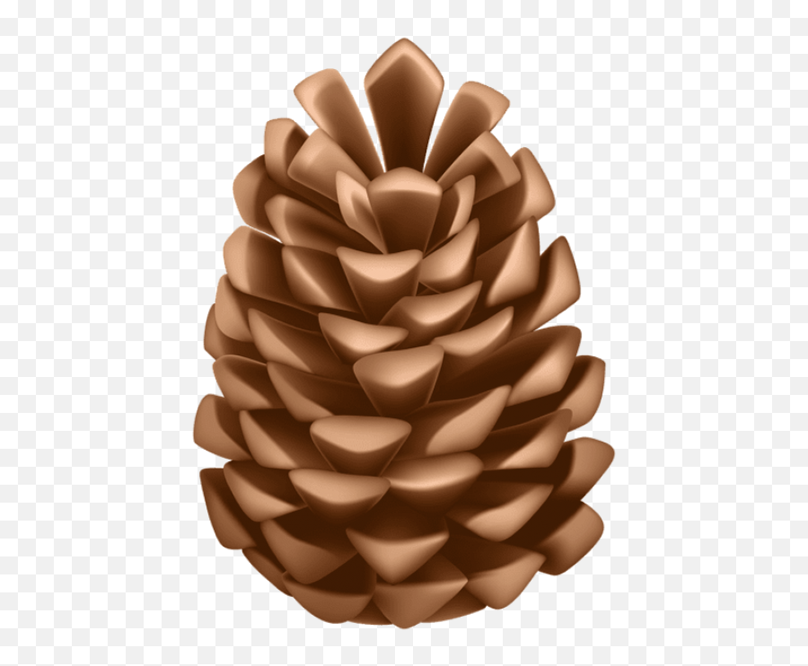 Pinecone Png Download Free Clip Art - Transparent Pinecone Clipart Emoji,Pinecone Emoji
