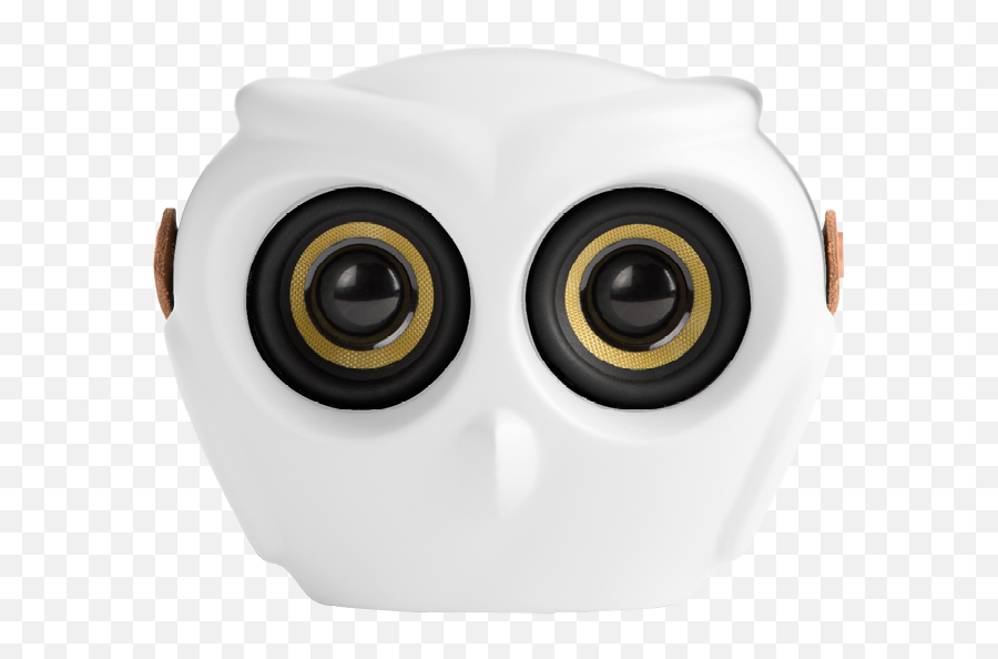 Aowl - Cartoon Emoji,Binoculars Emoticon