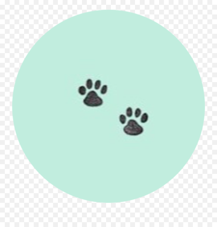 Dog Dogpaws Pawprints Dogtags Mint - Inspirational Animal Love Quotes Emoji,Emoji Dog Tags