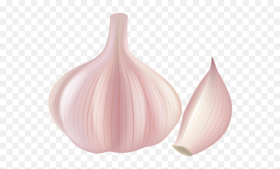 Garlic Clipart - Clip Art Garlic Png Emoji,Garlic Emoji