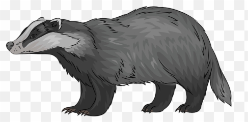 European Badger Clipart - Badger Clipart Emoji,Badger Emoji