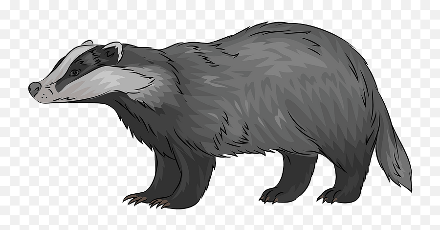 European Badger Clipart - Badger Clipart Emoji,Badger Emoji