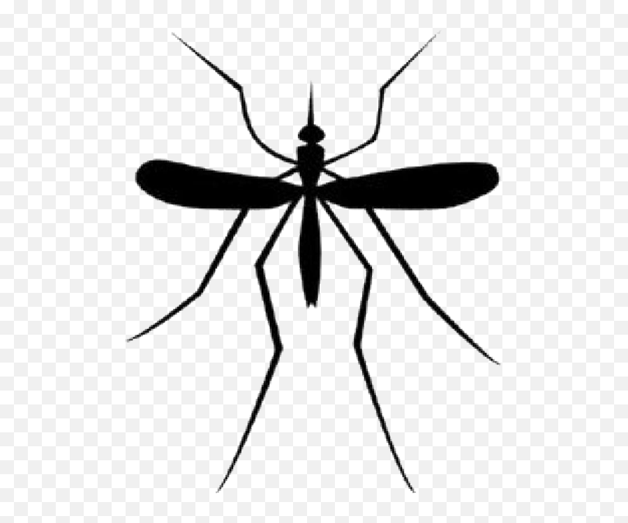 Free Mosquito Transparent Background - Parasitic Mosquitoes That Feed On Humanoids Emoji,Mosquito Emoji