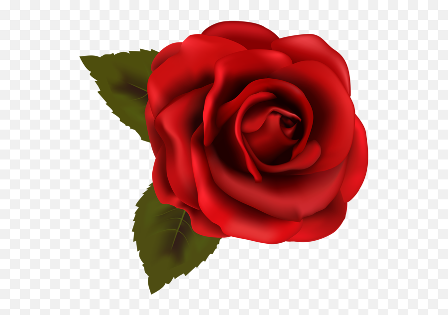 Clipart Roses Blossom Clipart Roses Blossom Transparent - Transparent Background Rose Clipart Emoji,Red Rose Emoji