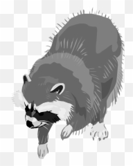 Raccoon Animal Clip Art - Clipart Transparent Background Emoji