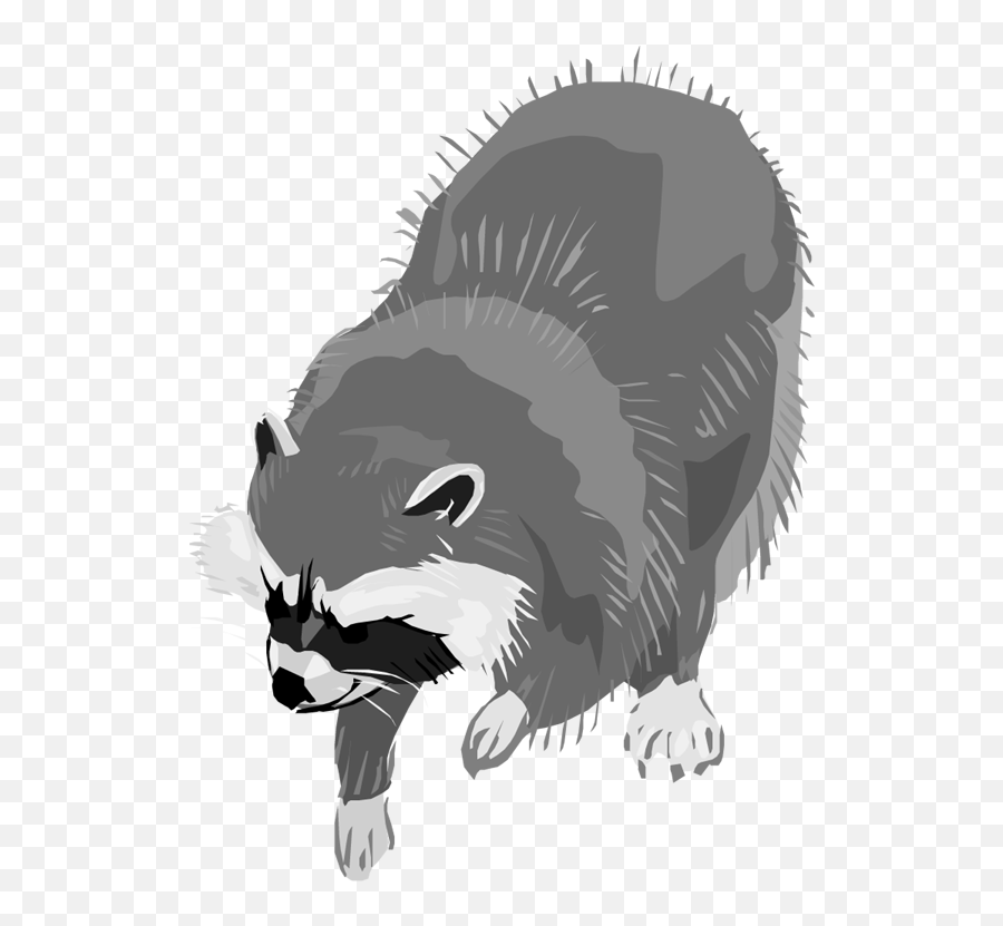 Raccoon Animal Clip Art - Raccoon Clipart Transparent Background Emoji,Skunk Emoji Facebook