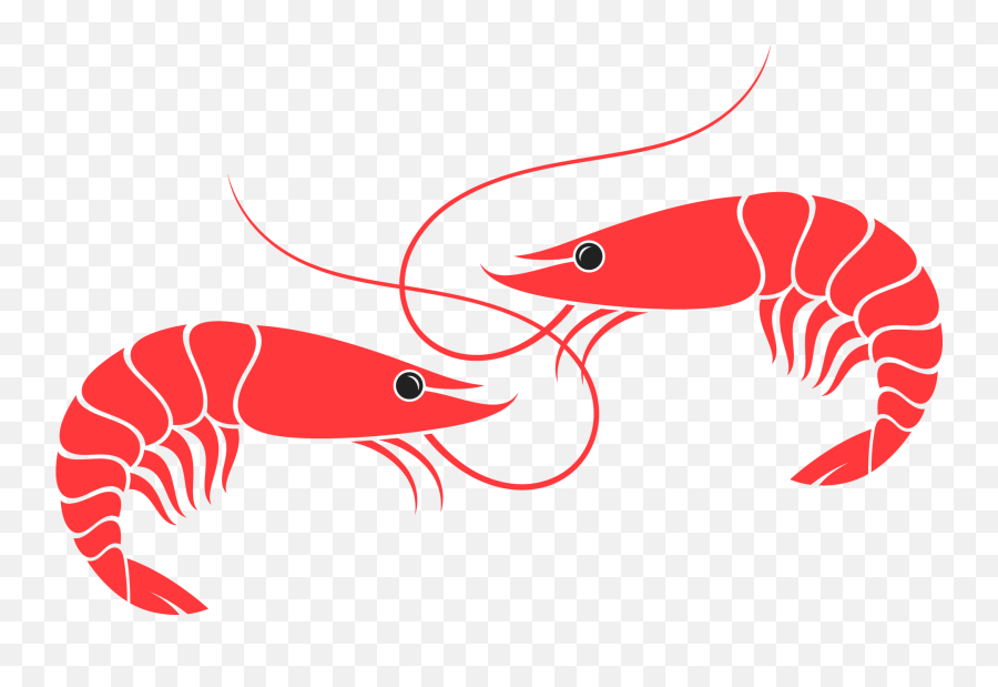 Shrimp Fest Tickets - Vannamei Shrimp Vector Clipart Full Vector Graphics Emoji,Shrimp Emoji