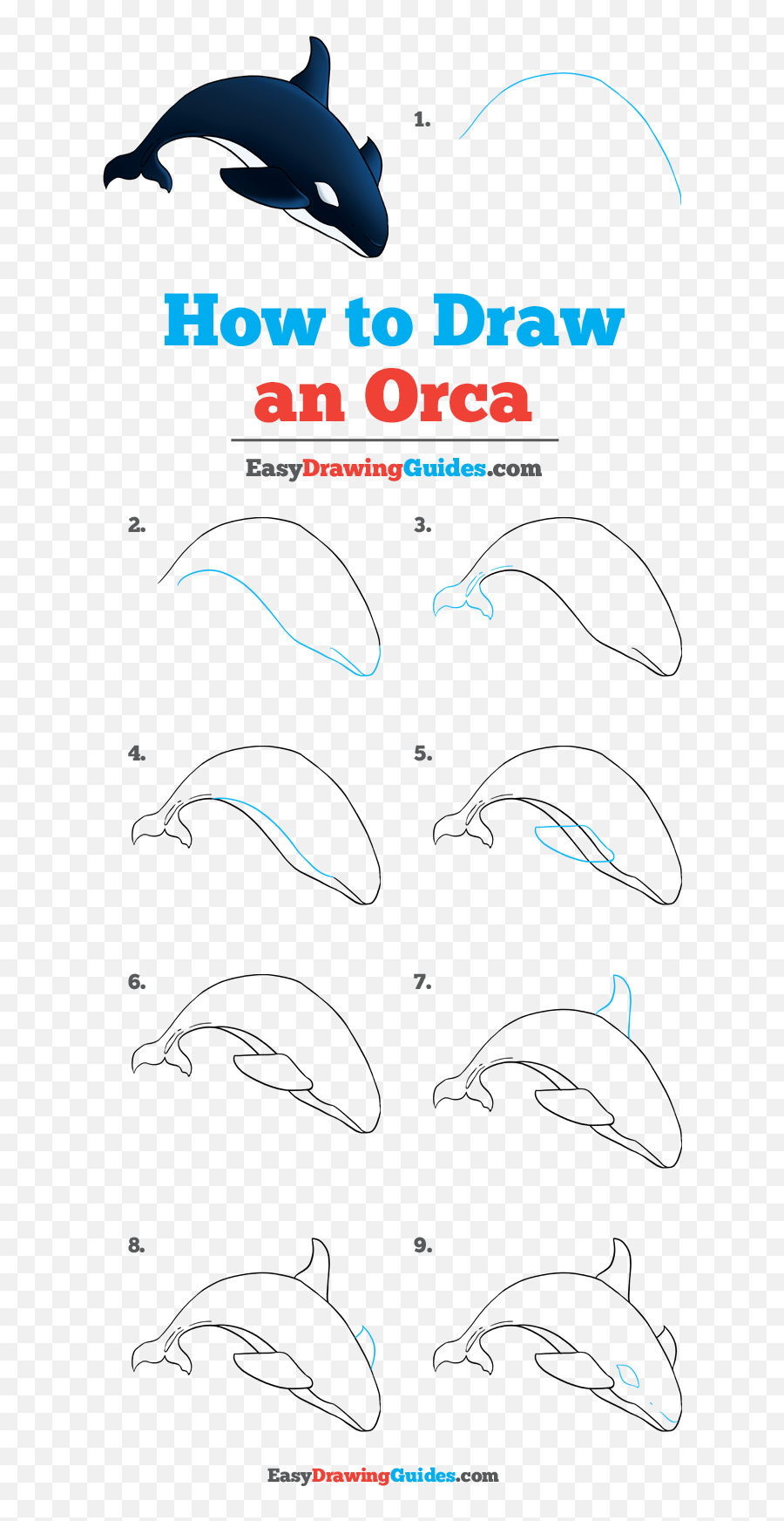 How To Draw An Orca - Really Easy Drawing Tutorial Como Dibujar Un Tornado Paso A Paso Emoji,Orca Emoji