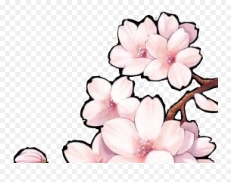 Sakura Flower Sticker - Girly Emoji,Sakura Flower Emoji