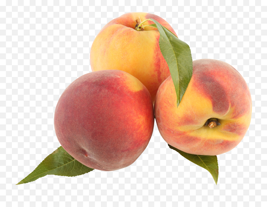 Peach Clipart Png - Peaches With Transparent Background Emoji,Peaches Emoji