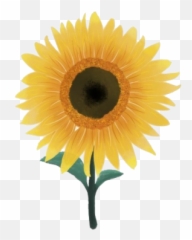 Sunflower Png And Vectors For Free - Aesthetic Sunflower Png Emoji,Sun Flower Emoji