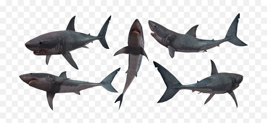 Free Shark Fish Illustrations - Great White Shark Silhouette Emoji,Shark Emoji