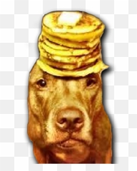 Trophies - Airedale Terrier Emoji