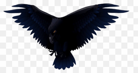 Raven Bird Png Transparent - Clipart Emoji