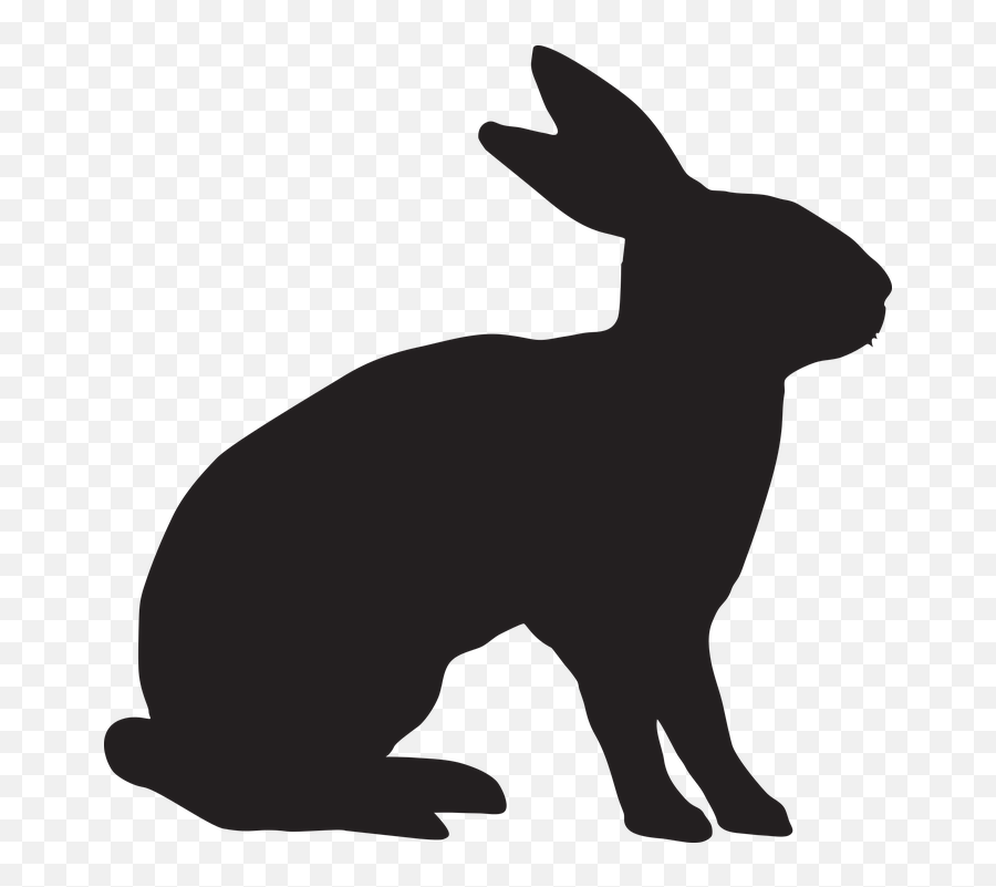 Gdakaska - Peter Rabbit Silhouette Emoji,Woman With Bunny Ears Emoji