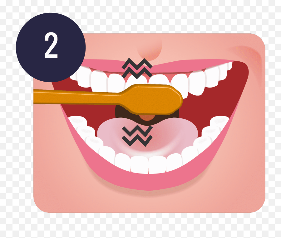 Brush Teeth Transparent Png Clipart - Brush Teeth Png Emoji,Brushing Teeth Emoji