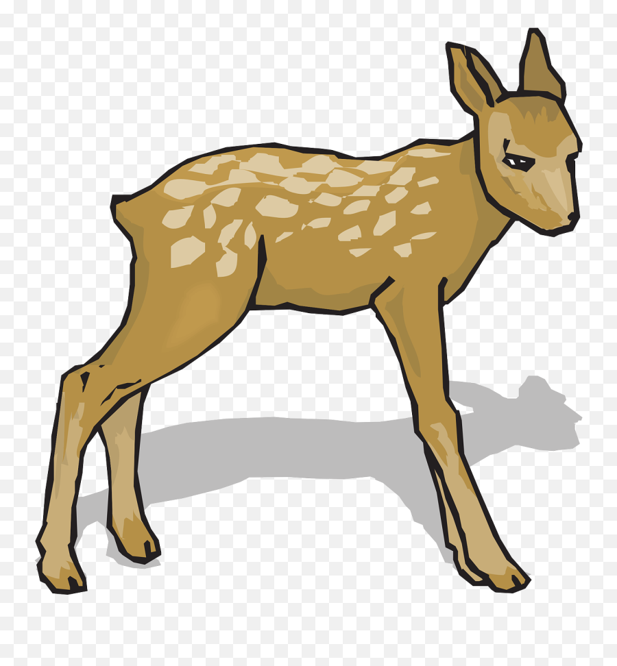 Fawn Animal Deer Nature Wildlife - Do Re Mi Flashcards Emoji,Whitetail Deer Emoji