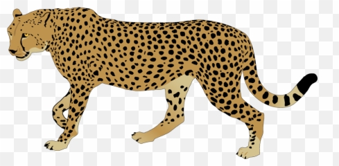 Cheetah Clipart Free Images - Cheetah Clip Art Png Emoji,Cheetah Emoji