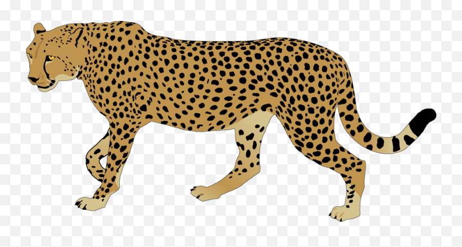Cheetah Clipart Free Images - Cheetah Clip Art Png Emoji,Cheetah Emoji
