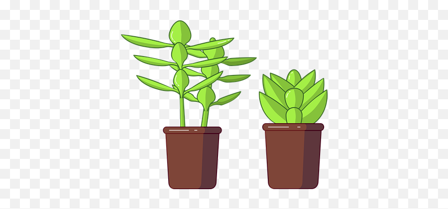30 Free Succulent U0026 Cactus Vectors - Pixabay Succulent Vector Png Emoji,Succulent Emoji