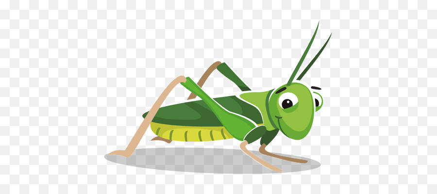 Collection Of Free Vector Cartoon Cricket - Transparent Grasshopper Clipart Emoji,Cricket Emoji