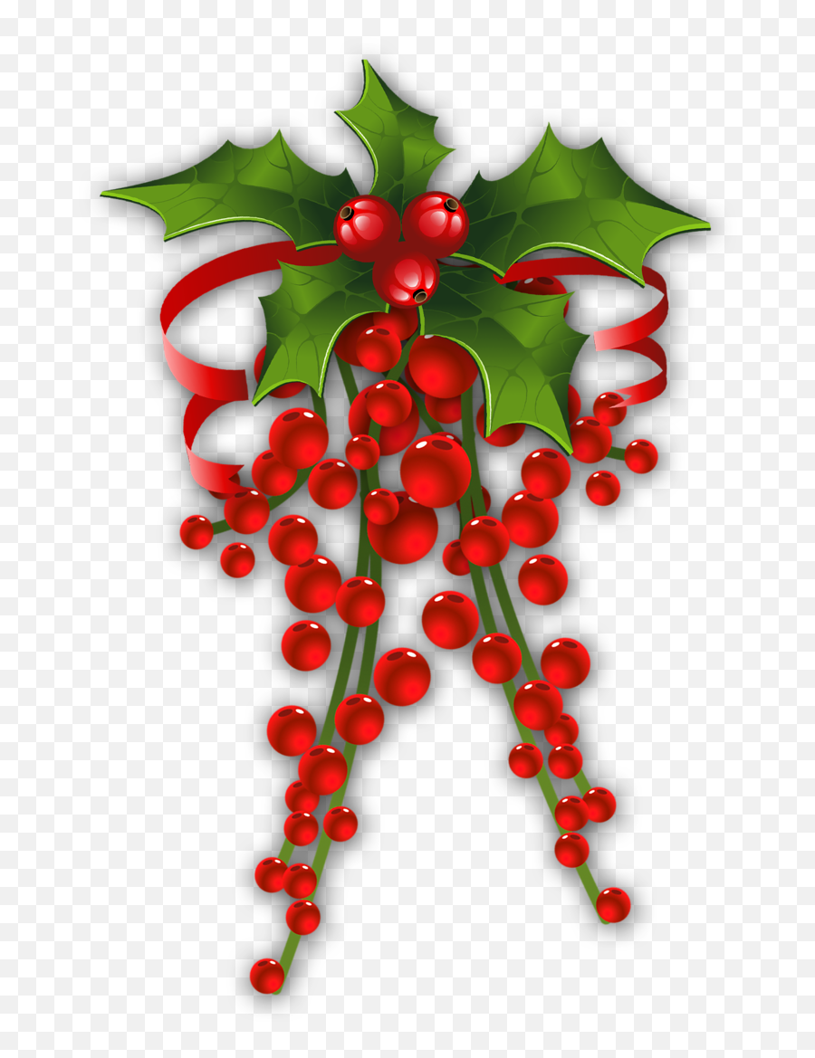 Mistletoe Christmas Common Holly Clip Art - Transparent Hanging Mistletoe Png Emoji,Mistletoe Emoji