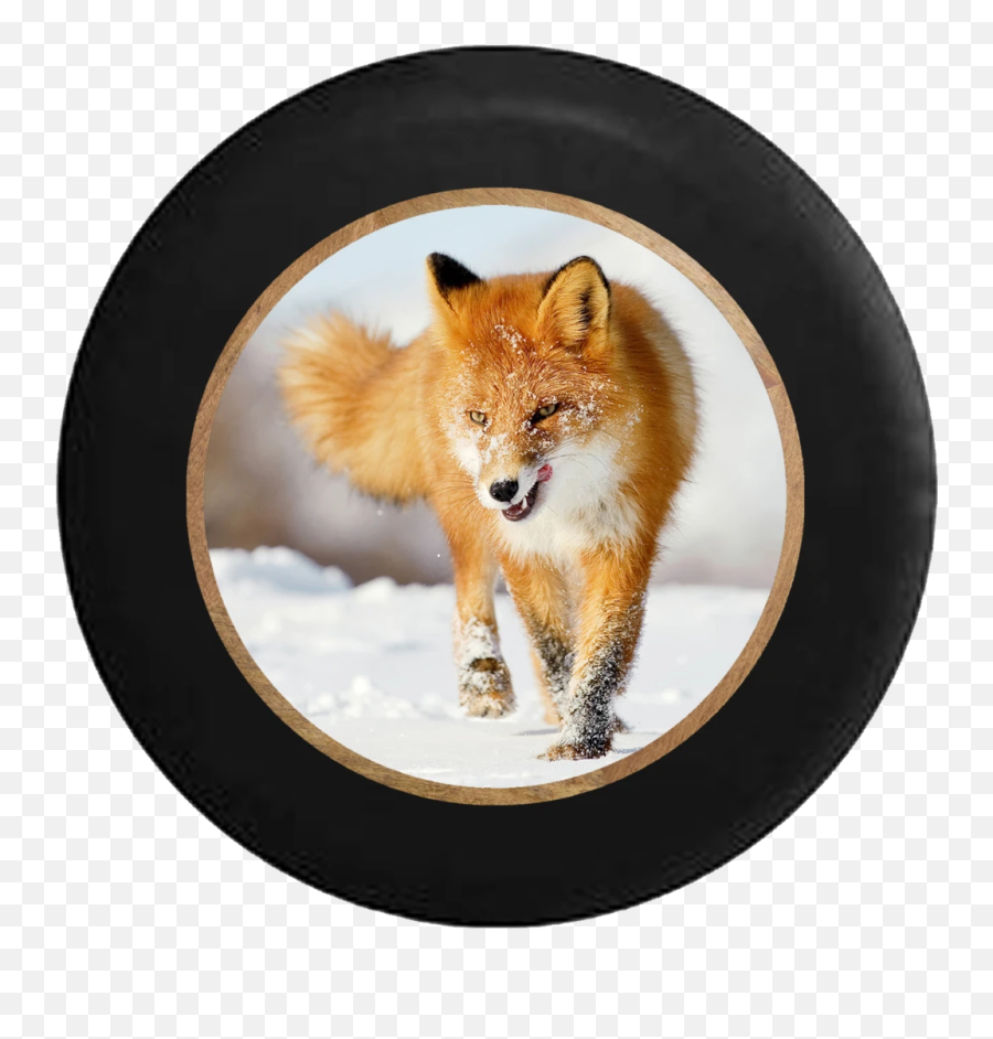 Products U2013 Page 174 U2013 Tirecoverpro - Fierce Fox In Snow Emoji,Racoon Emoji