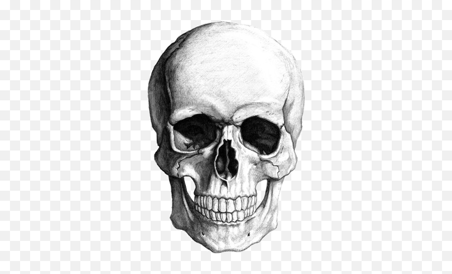 Skull Clip Art - Skull Pencil Drawing Emoji,Skeleton Emoji