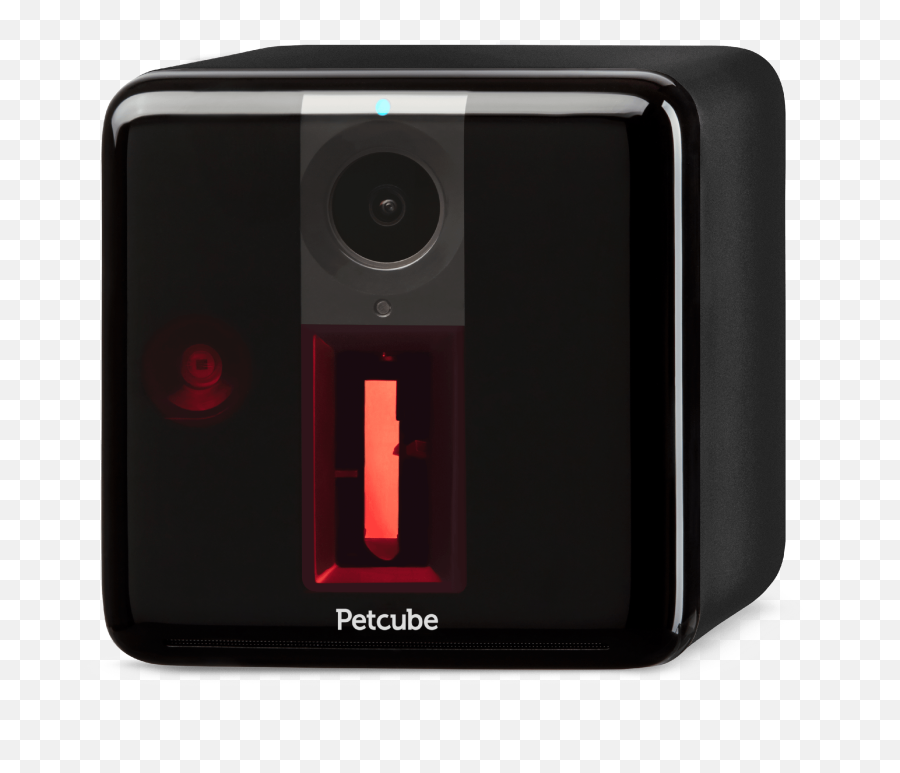 Petcube Play Interactive Dog Camera With Laser Carbon Black - Walmartcom Portable Emoji,Emojiz