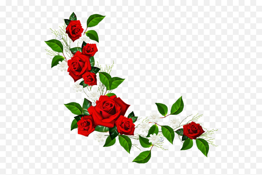 Decorative Element With Red Roses White - Transparent Background Rose