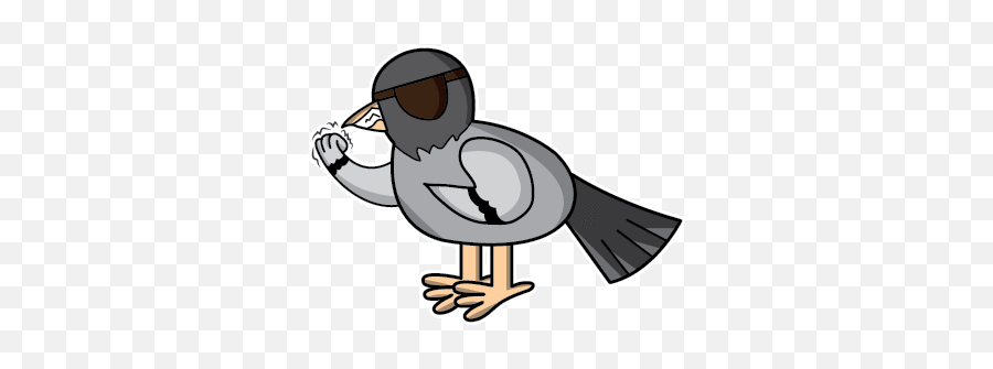Eyepatch Cartoon Transparent Png - Bird With Eye Patch Emoji,Eyepatch Emoji
