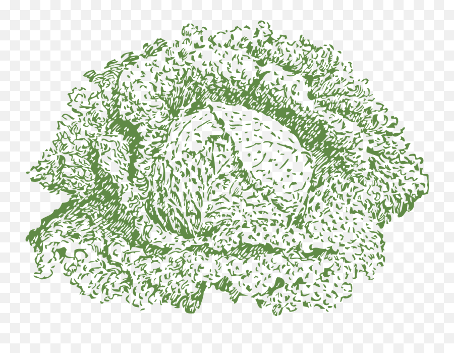Cabbage Vegetable Veggie Food Free - Vegetable Emoji,Purple Pickle Emoji