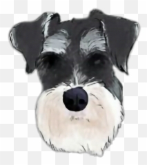 Schnauzer Sticker Stickers Dog - Miniature Schnauzer Png Silhouette Emoji,Schnauzer Emoji