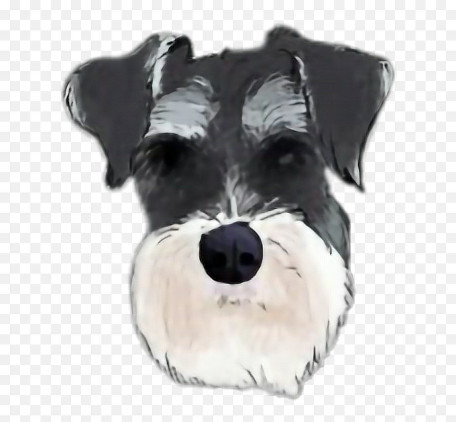 Schnauzer Sticker Stickers Dog - Miniature Schnauzer Png Silhouette Emoji,Schnauzer Emoji