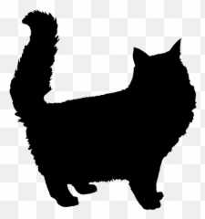 Fluffiga Katten Siluett - Maine Coon Cat Silhouette Emoji,Jeep Emoji
