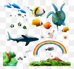 Stock Images Of Tropical Fish Png Emoji