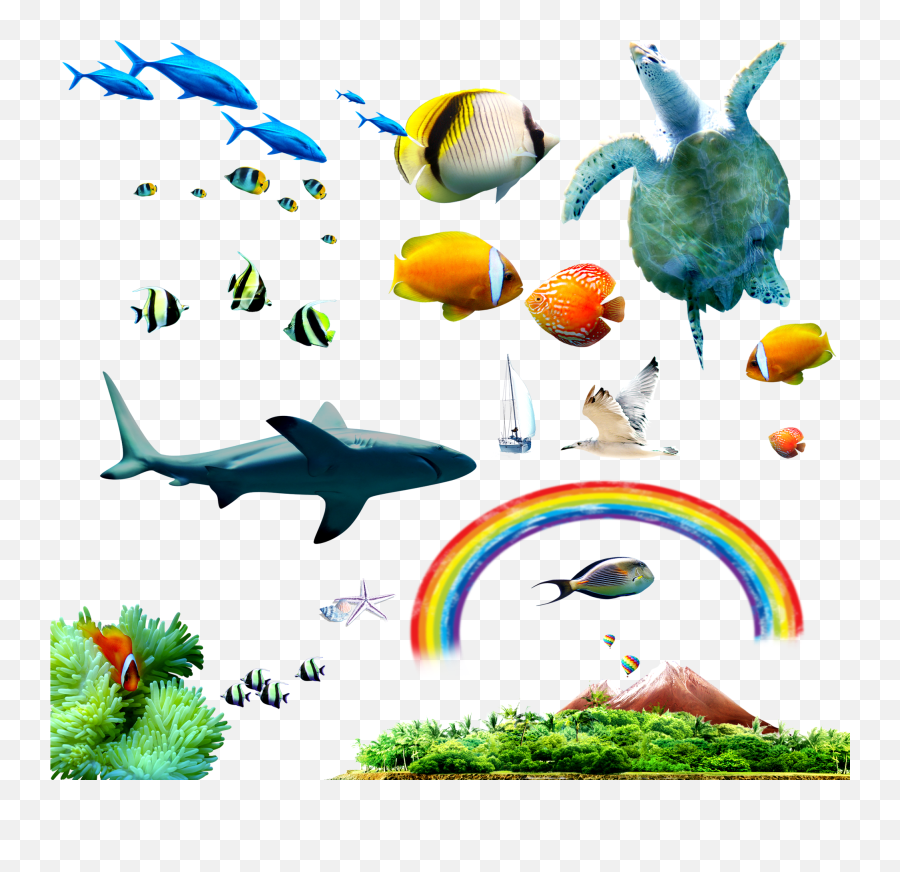 Stock Images Of Tropical Fish Png Emoji,Tropical Fish Emoji