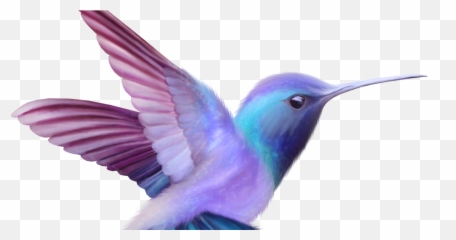 Beauty Hummingbird Free Clip Art - Cute Bird Drawing Colored Emoji,Hummingbird Emoticon