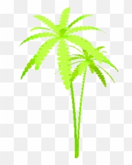 Top Palm Leaves Stickers for Android u0026 iOS Gfycat - Ostrich Fern Emoji