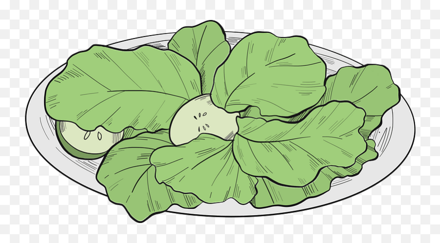 Lettuce Clipart - Cruciferous Vegetables Emoji,Lettuce Emoji