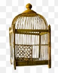 Cage Gold Gilded Isolated Old Emoji