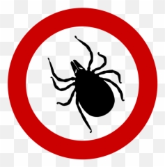Tick - Ticks Clipart Emoji