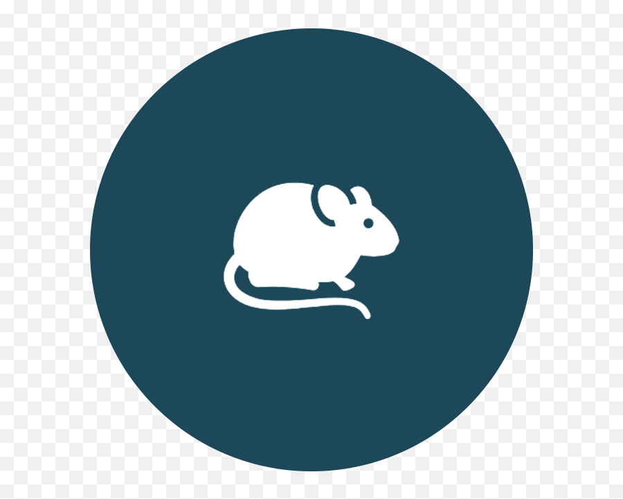 Clipart Rat Pest Control - Twitter Logo Blue Png Emoji,Rat Emoji