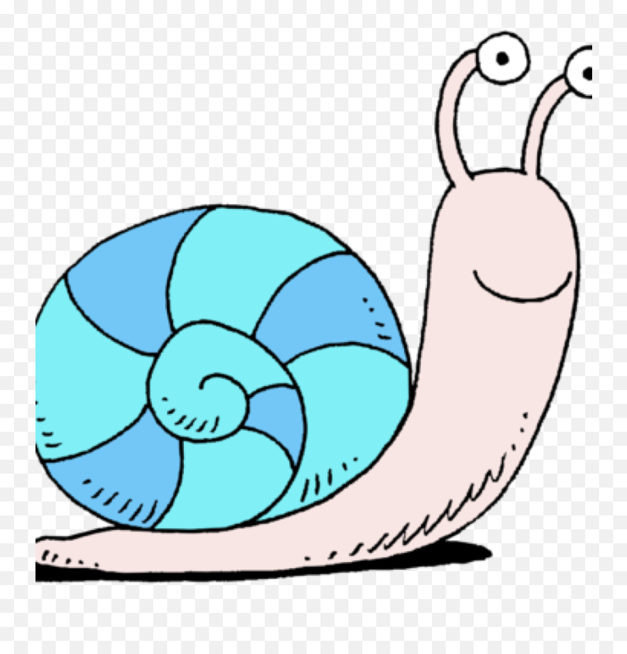 Clipart Snail - Png Download Full Size Clipart 936496 Snail Clipart Emoji,Snail Emoji