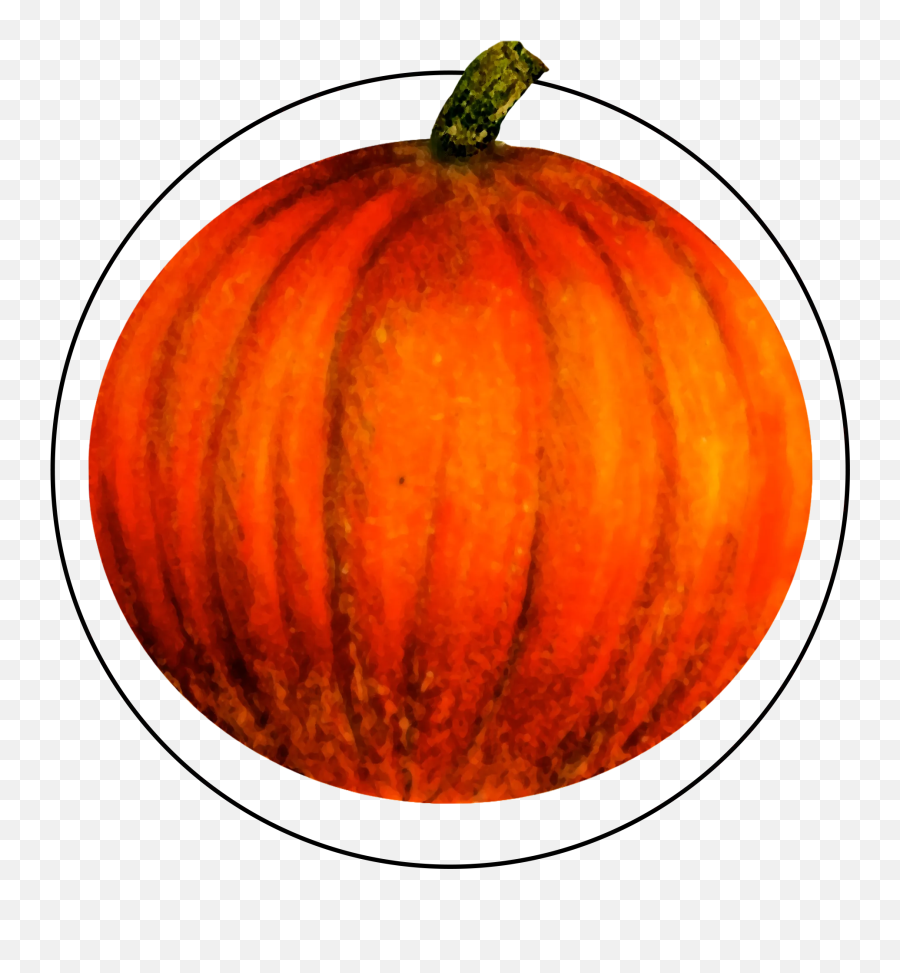 Jason B Graham Pumpkin - Kabak Pumpkin Emoji,Pumpkin Emoji Png