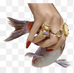 hand png i think like the aesthetic tags - Fish In Hand Png Emoji
