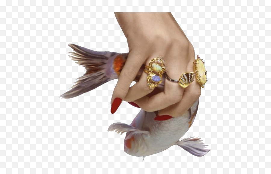 Hand Png I Think I Like The Aesthetic Tags Png - Fish In Hand Png Emoji,Think Emoji Hand