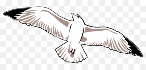 Download Free Png Seagull - Seagull Vector Png Emoji,Seagull Emoji