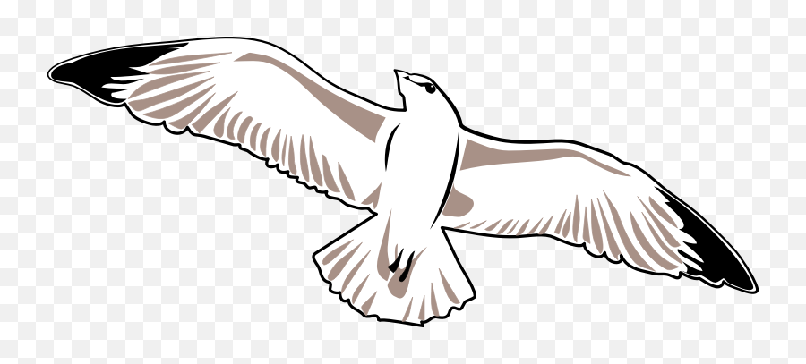 Download Free Png Seagull - Seagull Vector Png Emoji,Seagull Emoji